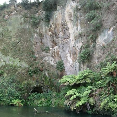 A1 Troutfishing At Tirau Vila Exterior foto