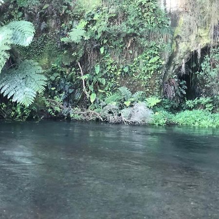 A1 Troutfishing At Tirau Vila Exterior foto