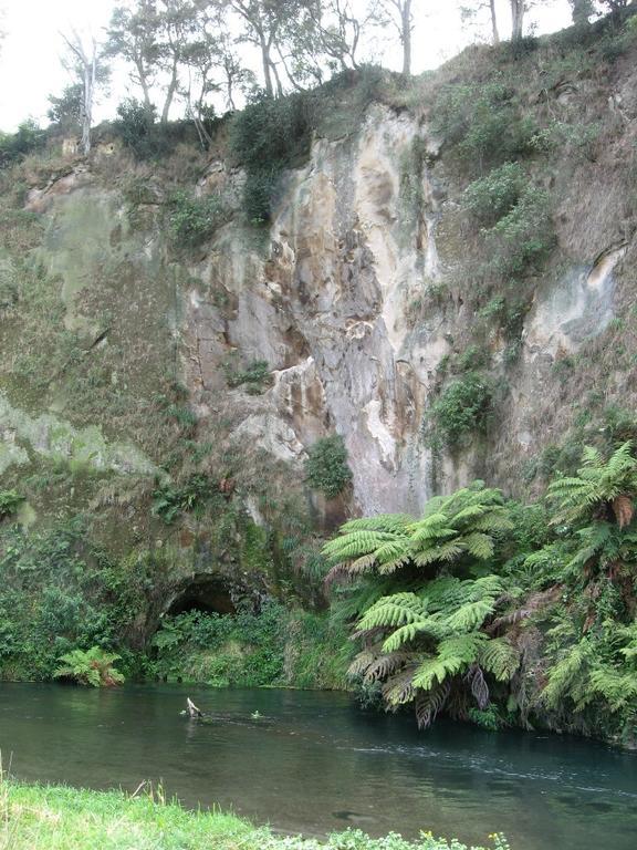 A1 Troutfishing At Tirau Vila Exterior foto