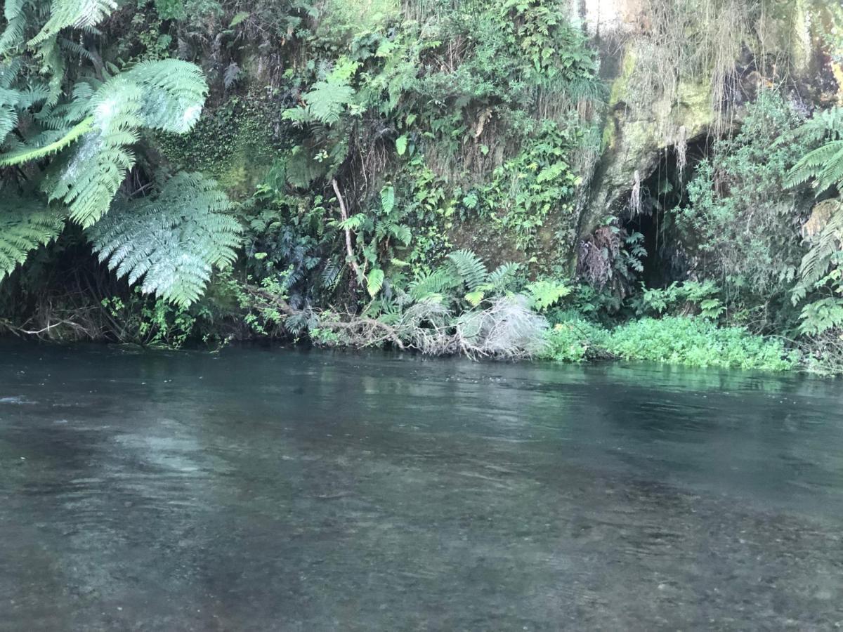 A1 Troutfishing At Tirau Vila Exterior foto
