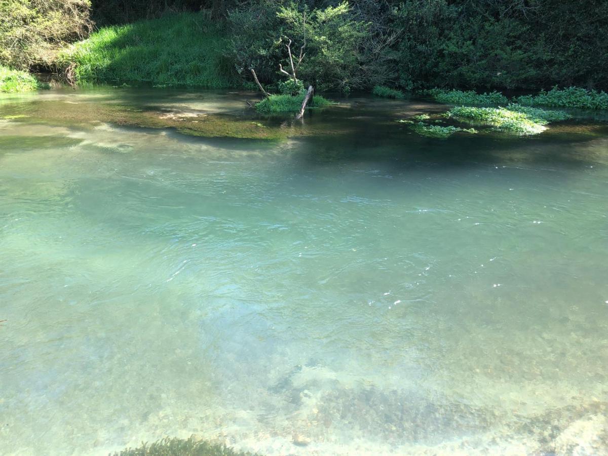 A1 Troutfishing At Tirau Vila Exterior foto