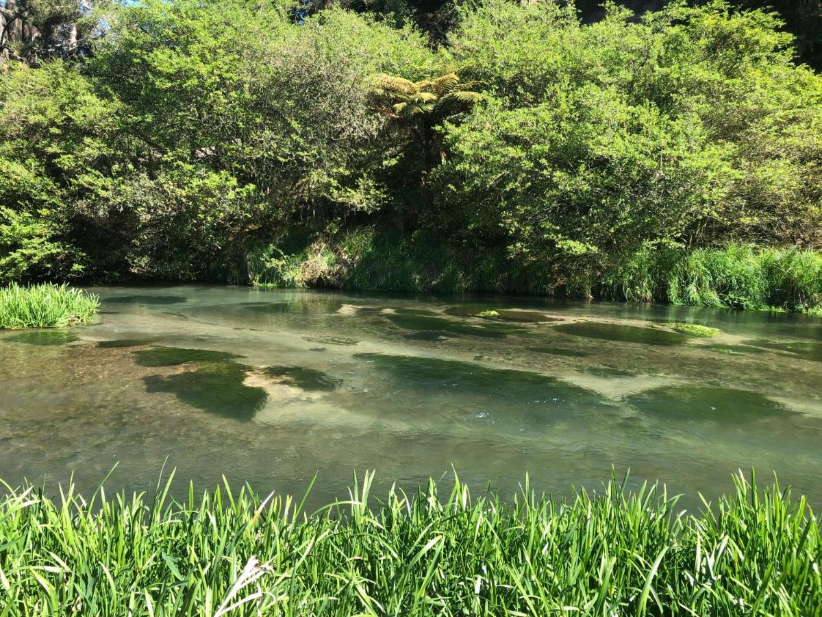 A1 Troutfishing At Tirau Vila Exterior foto